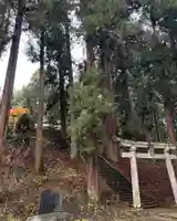 大宮温泉神社の鳥居