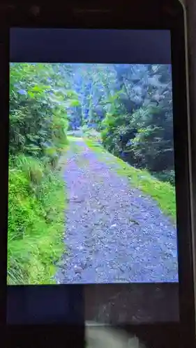 乙姫龍神(岐阜県)