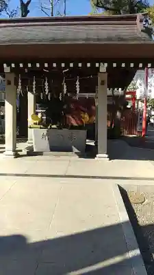 富岡八幡宮の手水舎