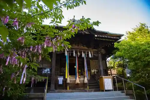 桜神宮の本殿・本堂