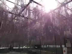 長泉寺の庭園