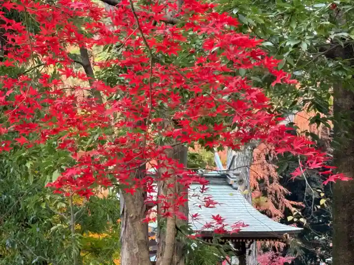 武蔵一宮氷川神社(埼玉県)