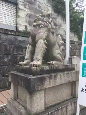 乃木神社の狛犬