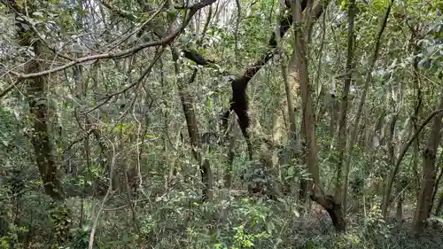 蛭子神社の自然