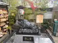 摩利支天 徳大寺(東京都)