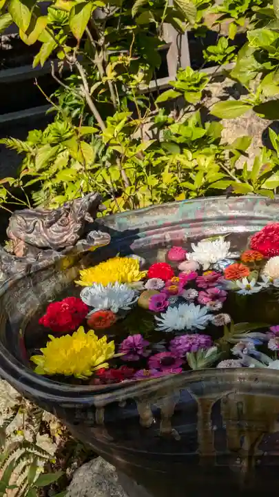 清凉院(京都府)