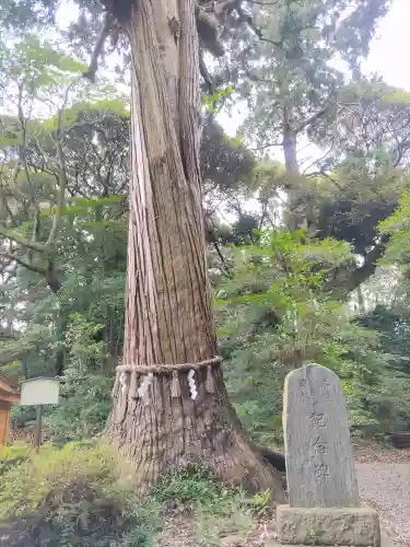 縣神社(千葉県)