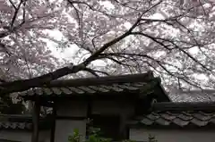 元慶寺の自然