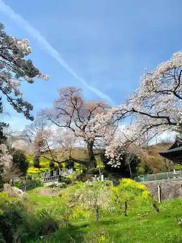 曹洞宗 永松山 龍泉寺(福島県)