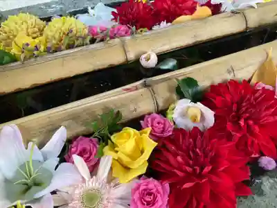 札幌護國神社の手水舎