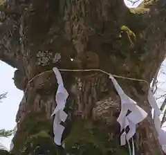 熊野皇大神社(長野県)