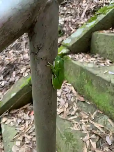 北辰神社の動物