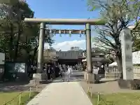 浅草神社の鳥居