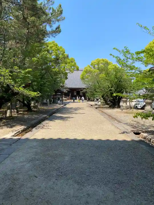 大樹寺(松安院大樹寺)(愛知県)