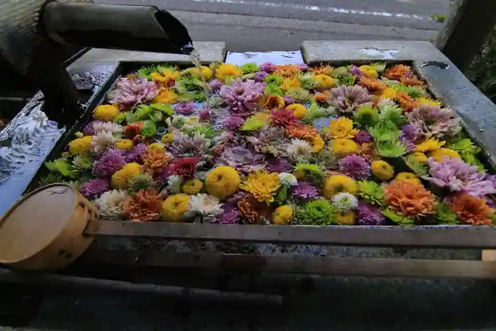 岳温泉神社 の手水舎
