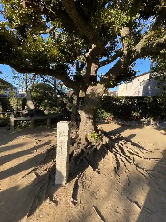 薭田神社(東京都)