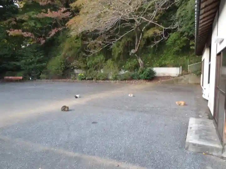 唐澤山神社のその他建物