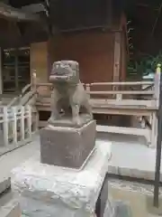 杉田八幡神社（杉田八幡宮）の狛犬