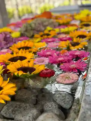 金蛇水神社(宮城県)