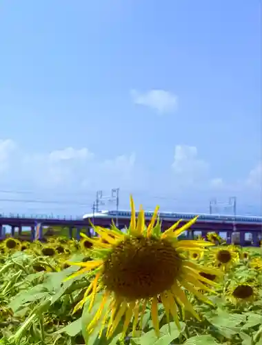 御嶽神社茅萱宮(岐阜県)