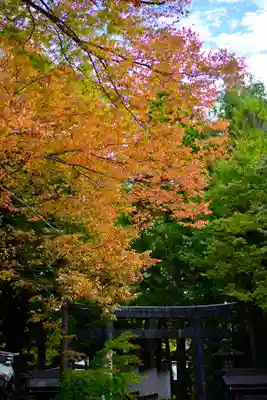 諏訪大社下社秋宮(長野県)