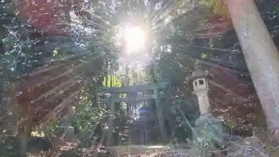 石鎚神社 口之宮 本社(愛媛県)