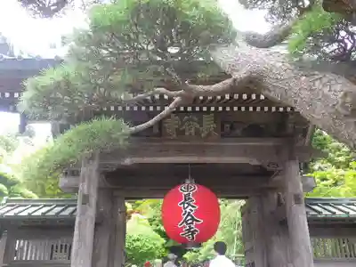 長谷寺の山門・神門
