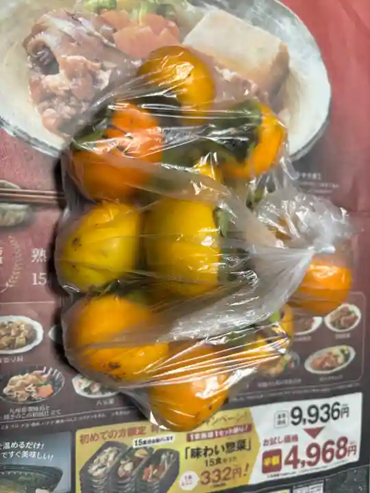 正暦寺(京都府)