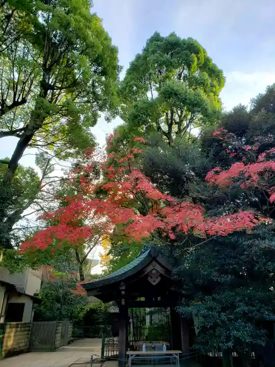 渋谷氷川神社(東京都)