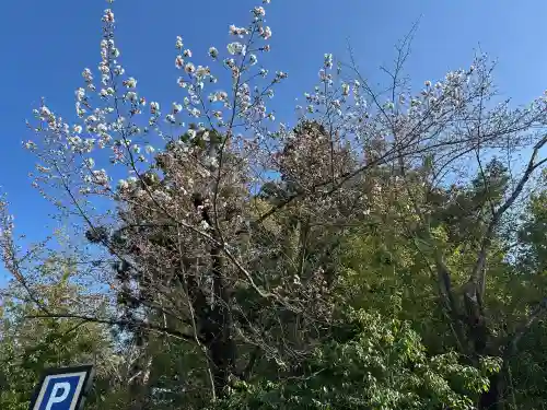 穂高神社本宮(長野県)