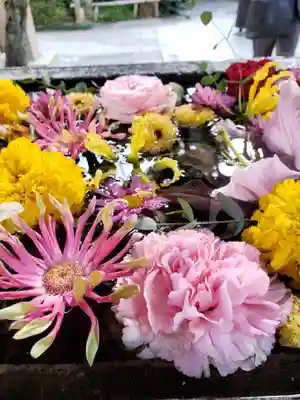 鳩森八幡神社の手水舎