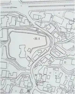 津島神社(樹木)(愛知県)