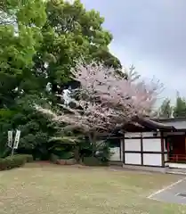 阿佐ヶ谷神明宮(東京都)