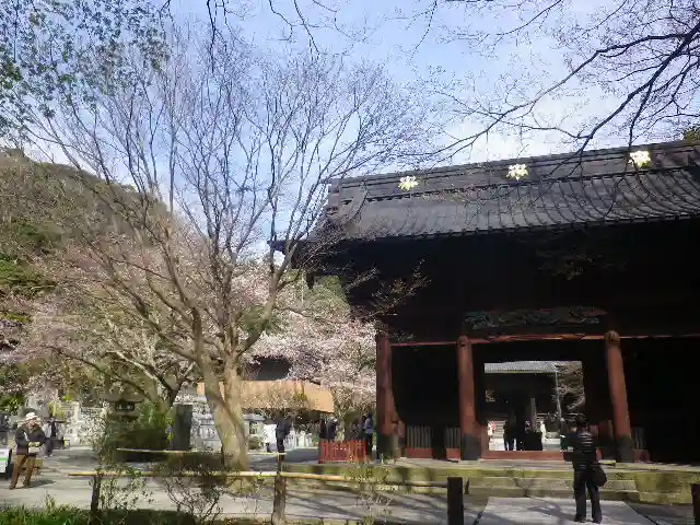 妙本寺の山門・神門