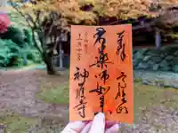 神護寺の御朱印