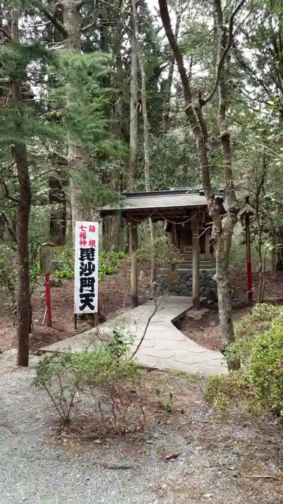 駒形神社(箱根神社摂社)の本殿・本堂