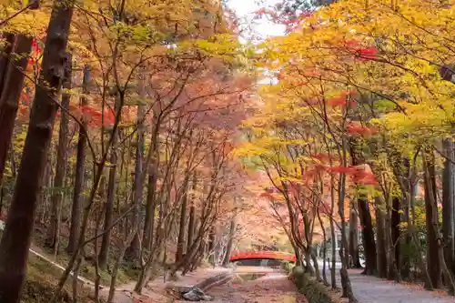 小國神社(静岡県)