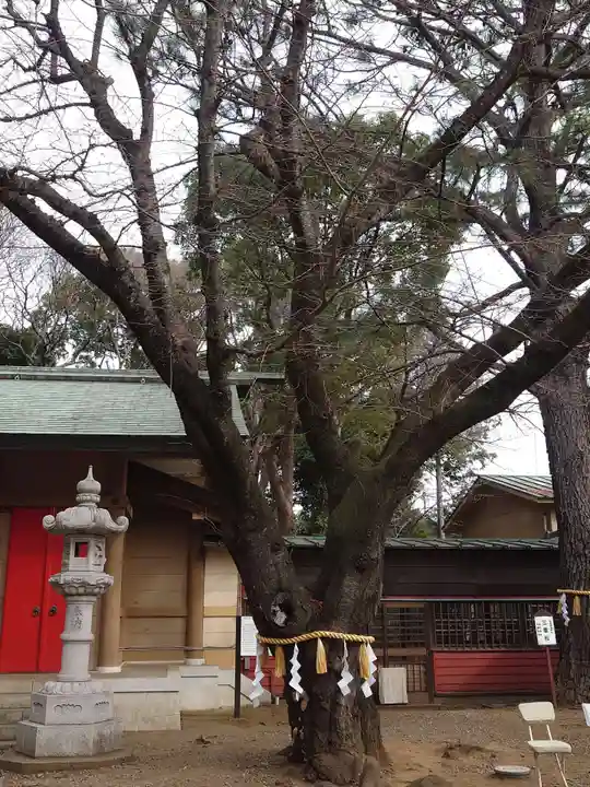 前原御嶽神社(千葉県)