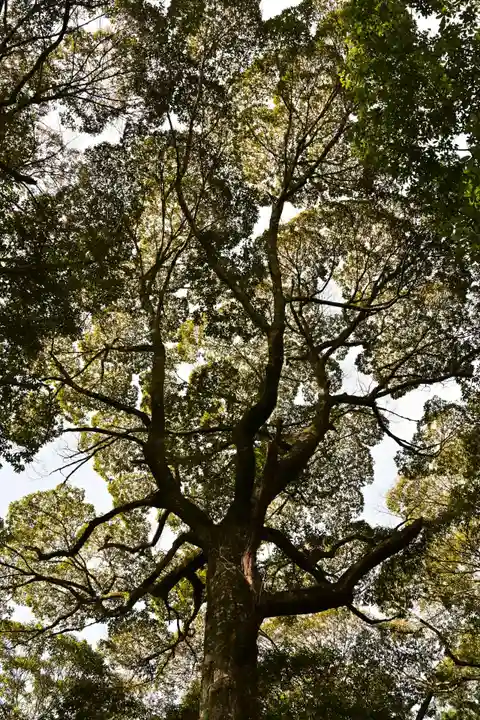 神明神社(徳島県)