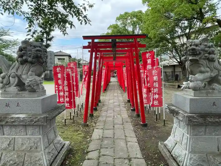 於菊稲荷神社(群馬県)