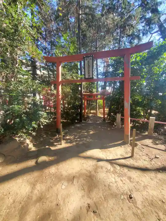 開運招福 飯玉神社(群馬県)