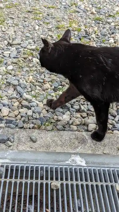 養源院(京都府)
