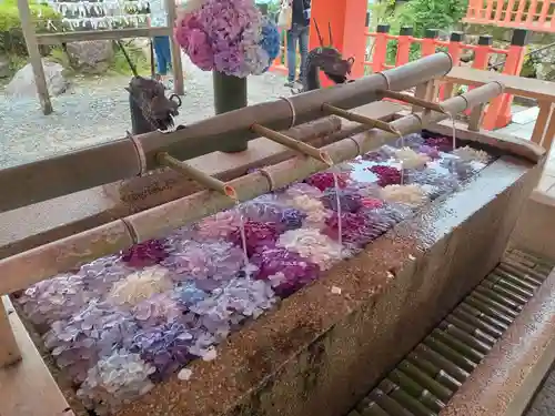 熊野那智大社(和歌山県)