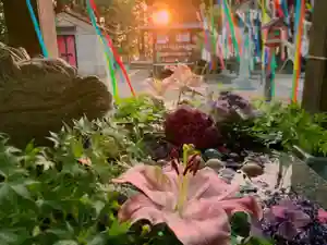 滑川神社 - 仕事と子どもの守り神の手水舎(2021年07月29日(木) 18時25分04秒投稿)