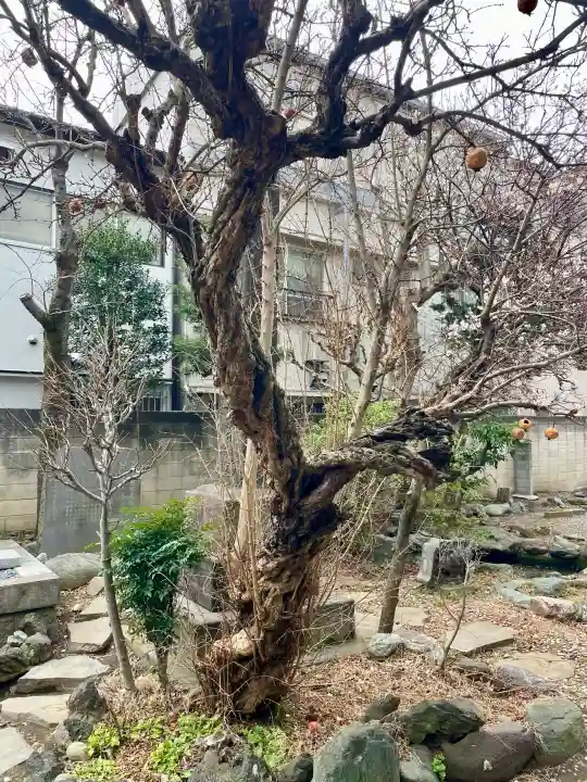 本寿寺の{uncategorized: "未分類", other: "その他", undefined: "問題あり", building: "その他建物", grave: "お墓", sacred_gate: "鳥居", guardian: "狛犬", statue: "像", buddha: "仏像", history: "歴史", nature: "自然", garden: "庭園", animal: "動物", pagoda: "塔", temizu: "手水舎", mountain_gate: "山門・神門", sanctuary: "本殿・本堂", subordinate: "末社・摂社", art: "芸術", scenery: "景色", jizo: "地蔵", ema: "絵馬", goshuin: "御朱印", omikuji: "おみくじ", items: "授与品その他", amulet: "お守り", goshuincho: "御朱印帳", eats: "食事", festival: "お祭り", votive_dance: "神楽", shichigosan: "七五三参", wedding: "結婚式", experience: "体験その他", initially: "初詣", around: "周辺", anti_infection: "感染症対策"}