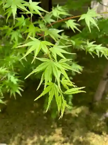 禅林寺（永観堂）(京都府)