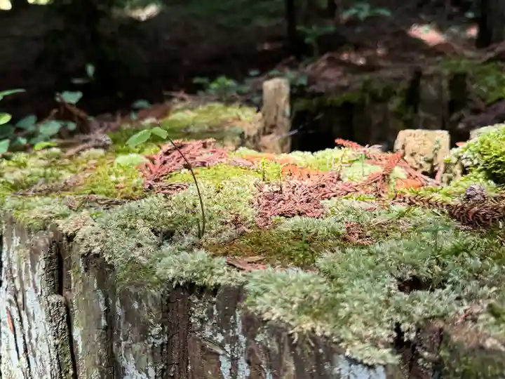 鹿島大神宮(福島県)