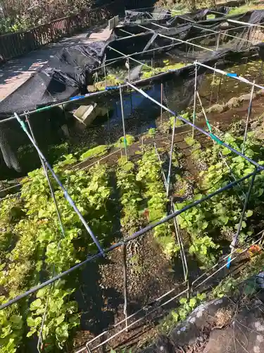 大滝神社(山梨県)