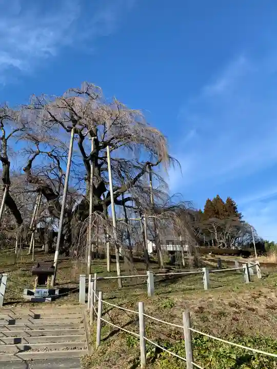 瀧桜神明宮(福島県)