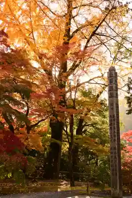 永源寺(滋賀県)